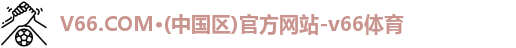 v66官方网站